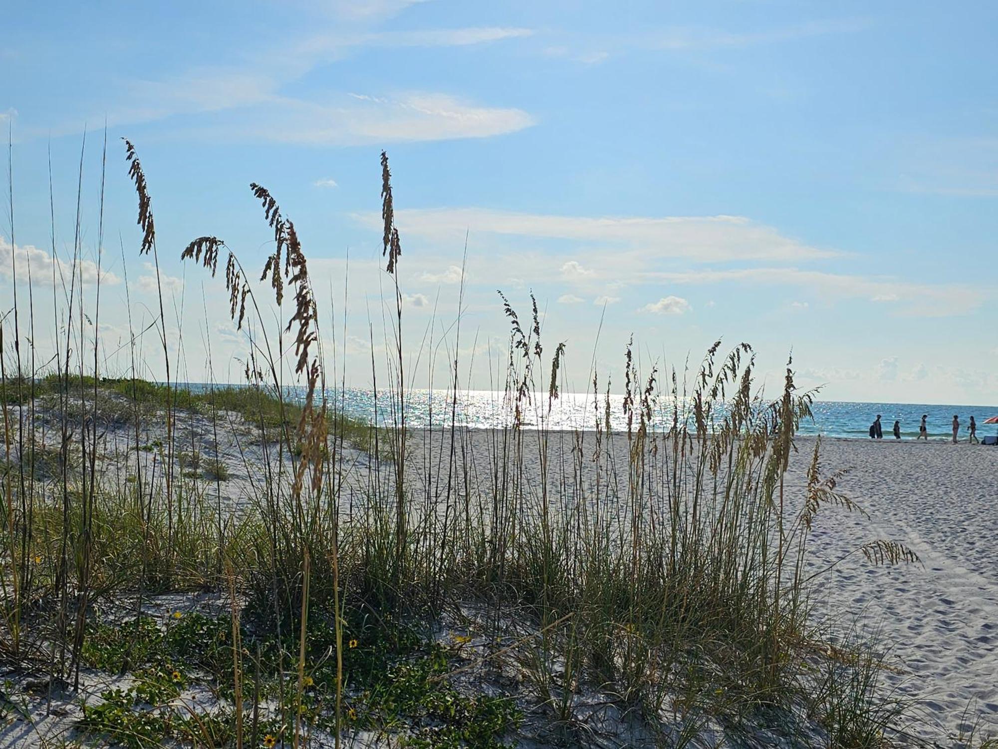 D3 Mandaly Bay Efficiency Comfort * Clearwater Beach
