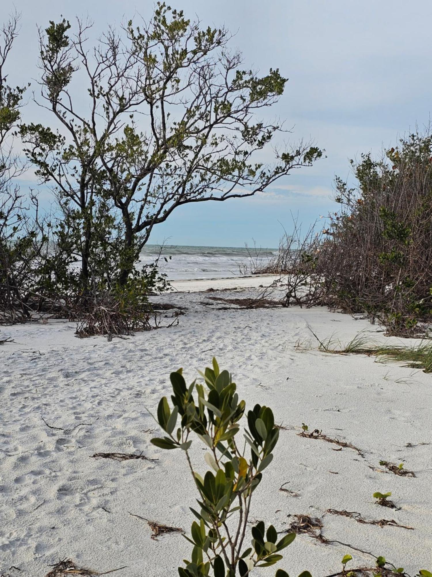 Apartment D3 Mandaly Bay Efficiency Comfort Clearwater Beach